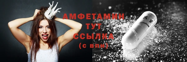 мдпв Кулебаки